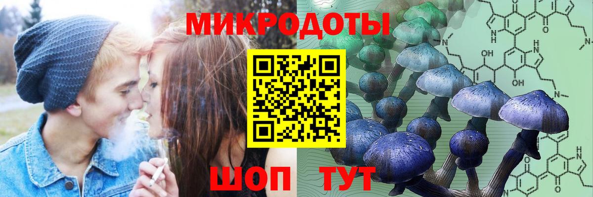Тосно  Псилоцибиновые грибы Psilocybine cubensis  Псилоцибиновые грибы прущие грибы  Вход с VPN 