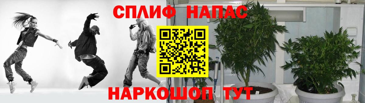 Конопля Bruce Banner  Вход с VPN  Тосно  Бошки марихуана AK-47  Шишки марихуана AK-47 